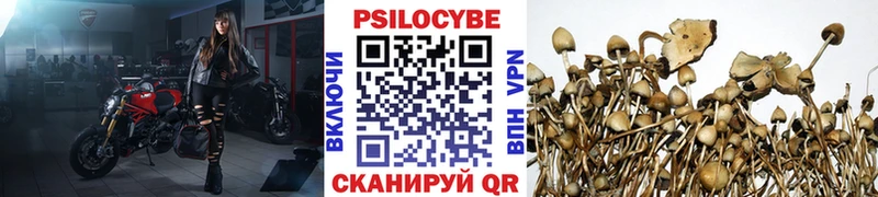 купить сайты Мураши Псилоцибиновые грибы прущие грибы